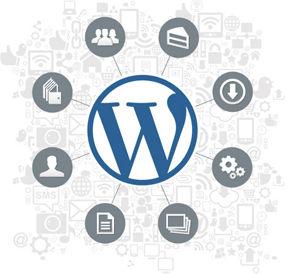 wordpress 3 wordpress 2 Shopify Website Design & Development Services | Top Rated